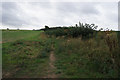 Pingle Lane towards Gulling Wood