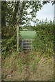 Stile into field