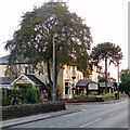 Wilford Lane: The Beeches Hotel