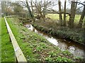 The Bourne: Looking downstream next to the Recreation Ground in Chobham