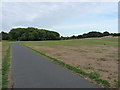 Track and open fields near Witton Lakes