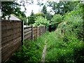 Public footpath behind a Ramsbottom Lane back garden