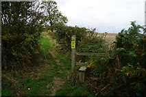 SK4689 : Path leading to Doles Lane by Ian S
