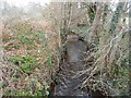 Trulley Brook: From the Lucas Green road bridge in West End, Chobham (2)