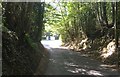 Approaching the A271 from Tilley Lane