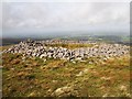 SX5790 : Cairn on Yes Tor by Chris Andrews
