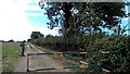 Track towards Thornton Abbey from East Halton