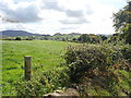 Grazing land on the east side of Aughanduff Road