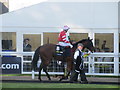 Son of Rest, Ayr Gold Cup (joint) Winner