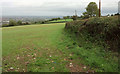 Field on Dundry Hill