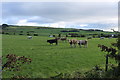 Farmland near Fisherton