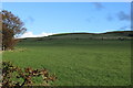 Farmland at Lagg