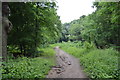 Footpath, The Warren