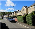 Tirbach Road houses, Wyllie