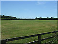 Grassland off Esperley Lane