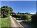 Approaching Upper Barpham