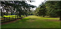 Grassy Footpath near West Suffolk Hospital