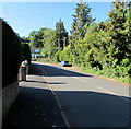 Northwest end of College Glade, Caerleon