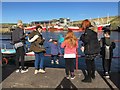 Visitors watch the Seals at Eyemouth Harbour