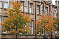 Autumn Colour, Maybole