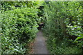 Footpath to Cemetery