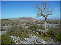 R3094 : View from the White Route, Burren National Park by Humphrey Bolton