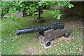 Cannon in Thurlestone