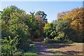 Autumn Signs on The Three Forests Way