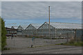 A nursery - greenhouses