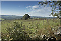 Looking out of the reserve