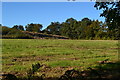 Field near Stanbridge Ranvilles Farm