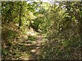 Old Road bridleway on Spinney Hill