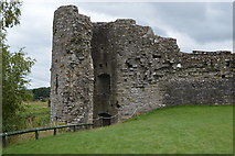 N8056 : Ruined tower, Trim Castle by N Chadwick