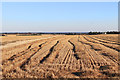 Harvested Field at Lydden