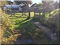 Footbridge over stream