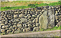 Wall at Tafarn-y-bwlch