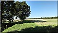 Footpath and Open Fields, North of Felsham