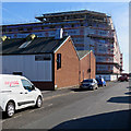 The Meadows: new housing on Crocus Street