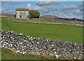 Field barn on the edge of Bradwell Moor