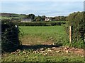 Gateway into field