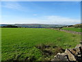 Grazing off Rochdale Road (A680)