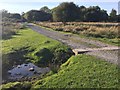 Track to Newbush Farm