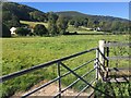 View across paddock