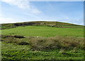 Grazing, Lower Nutshaw