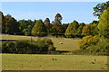 View across fields at Melchet Park