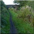 Stubbins Bridge No 51