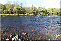 NJ2945 : River Spey at Craigellachie by Anne Burgess