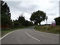 TL8329 : Parley Beams Road, Colne Engaine by Geographer