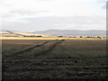 NO5964 : Field near Brathinch by Scott Cormie