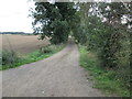 Farm  access  road  and  Pedders  Way  going  south